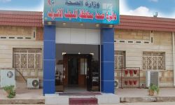 صحة النجف: لا إصابة بالحمى النزفية